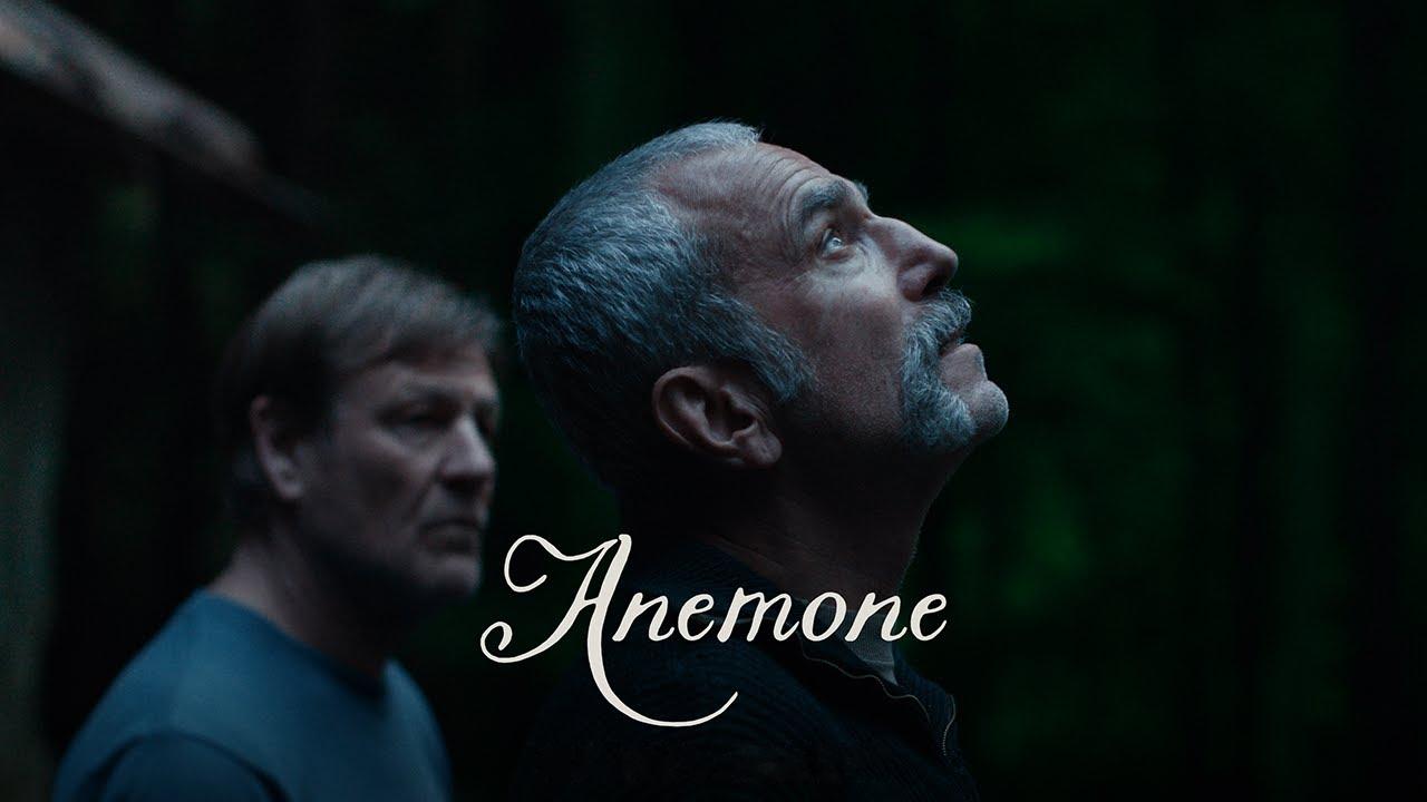 فيلم Anemone 2025 مترجم