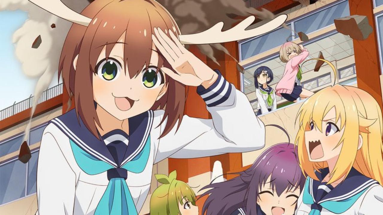 انمي Shikanoko Nokonoko Koshitantan مترجم