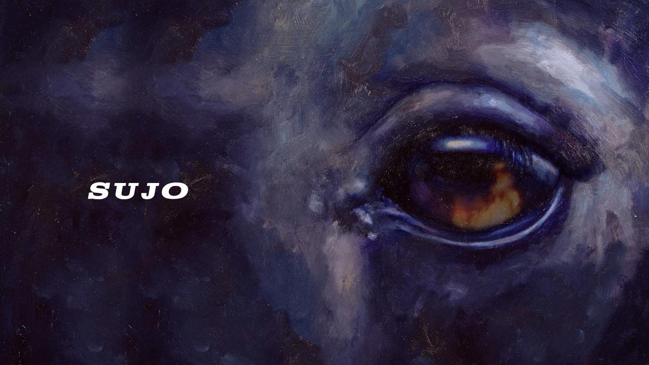 فيلم Sujo 2024 مترجم