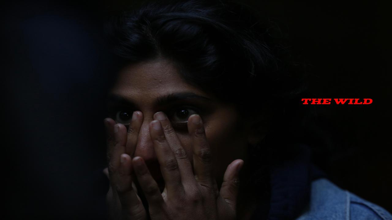 فيلم The Wild 2023 مترجم