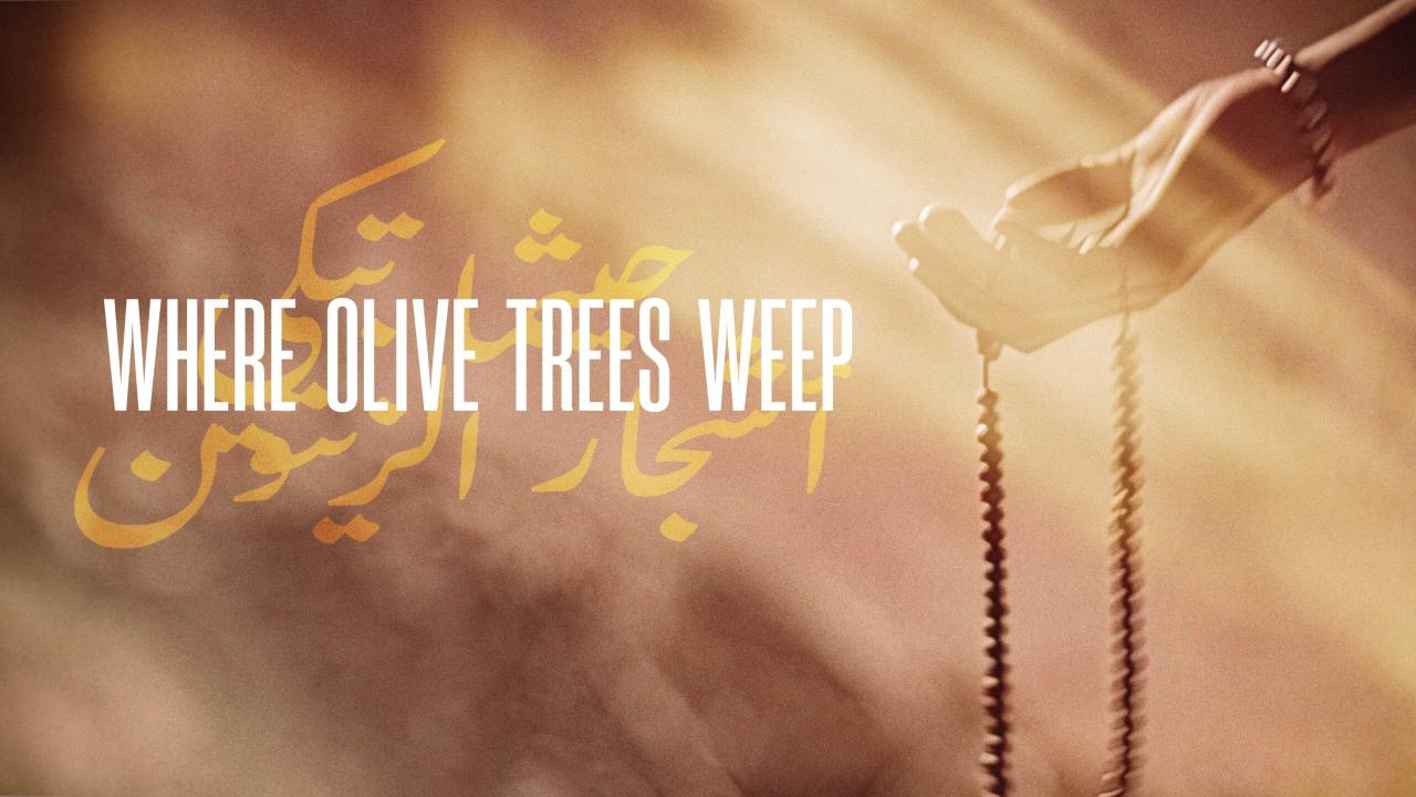 فيلم Where Olive Trees Weep 2024 مترجم